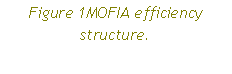 Text Box: Figure 11MOFIA efficiency structure.