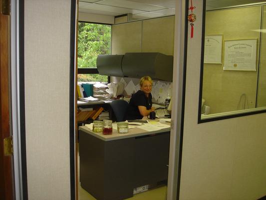 box2004 001