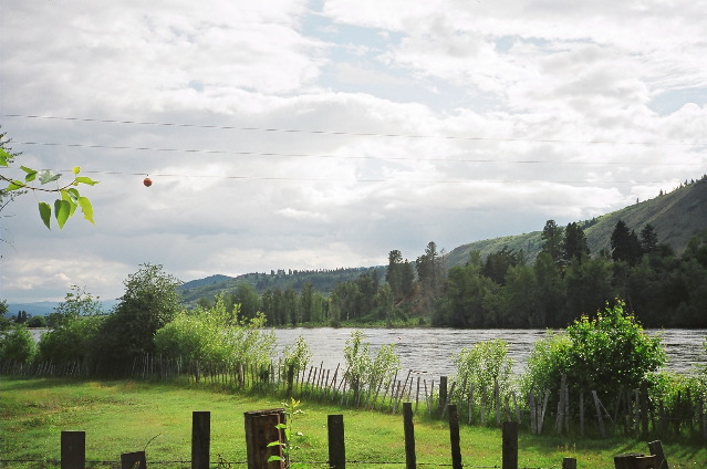 South Thompson River between Kamloops and Salmon Arm. Looking West