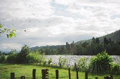 South Thompson River between Kamloops and Salmon Arm. Looking West