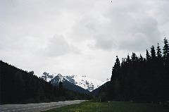 same place, looking back, South-West